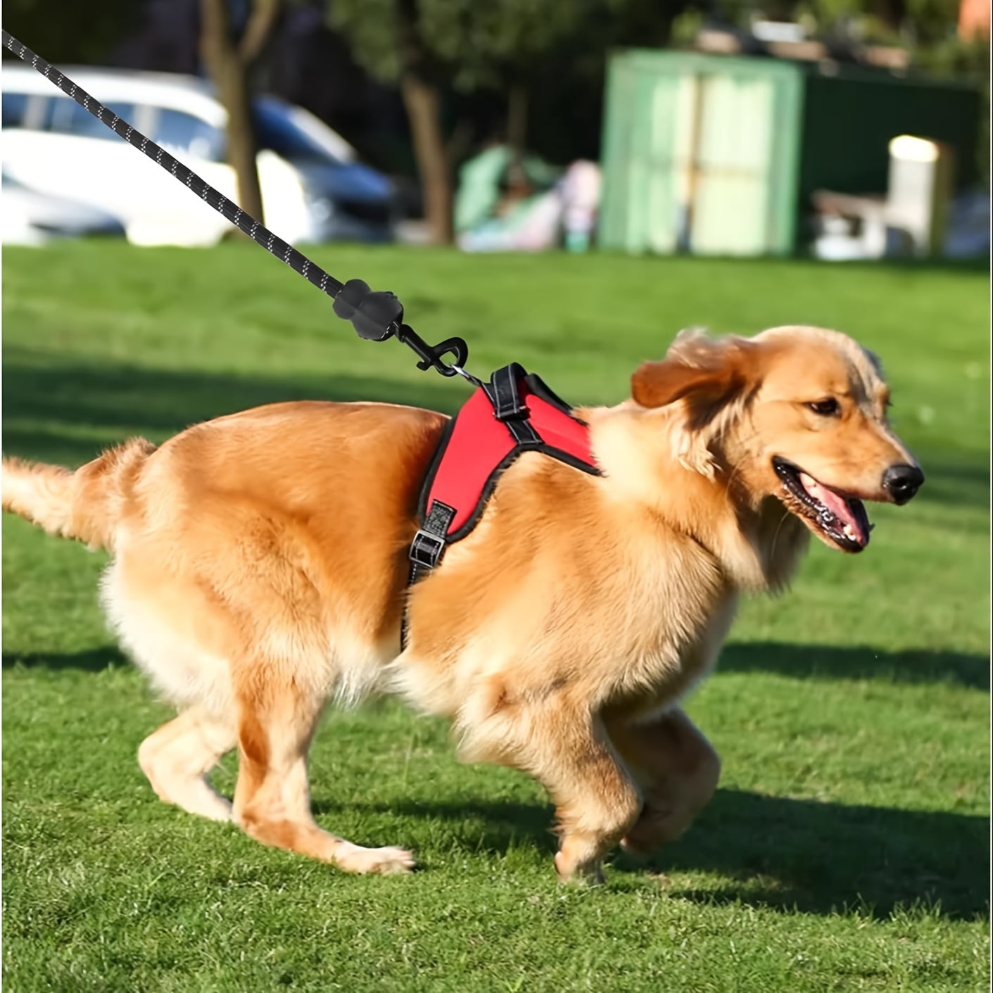 Doglee Ultimate No-Pull Reflective Adjustable Dog Harness with Handle - Premium Comfort, Easy Walking, and Enhanced Visibility - Ideal for Training, Outdoor Adventures, and Everyday Use