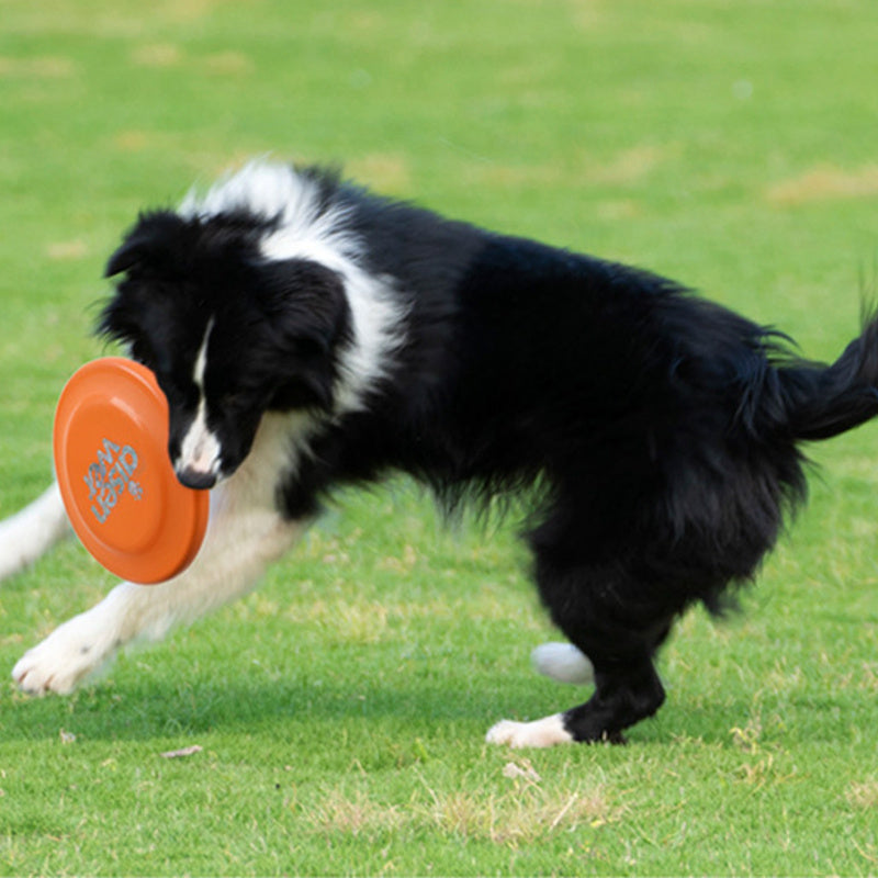 Dog Toys That Are Durable, Non-Toxic, And Suitable for Training And Water Play, Without Battery