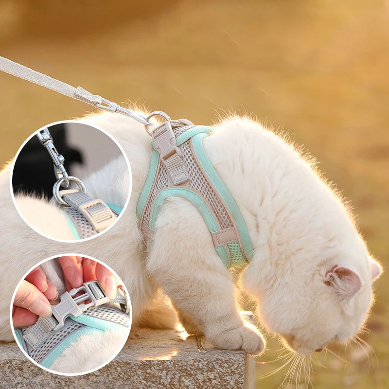 Cat and Dog Leash Anti-shedding Vest Breathable Reflective Pet Chest Harness Small Dog and Cat Leash Pet Outdoor Supplies