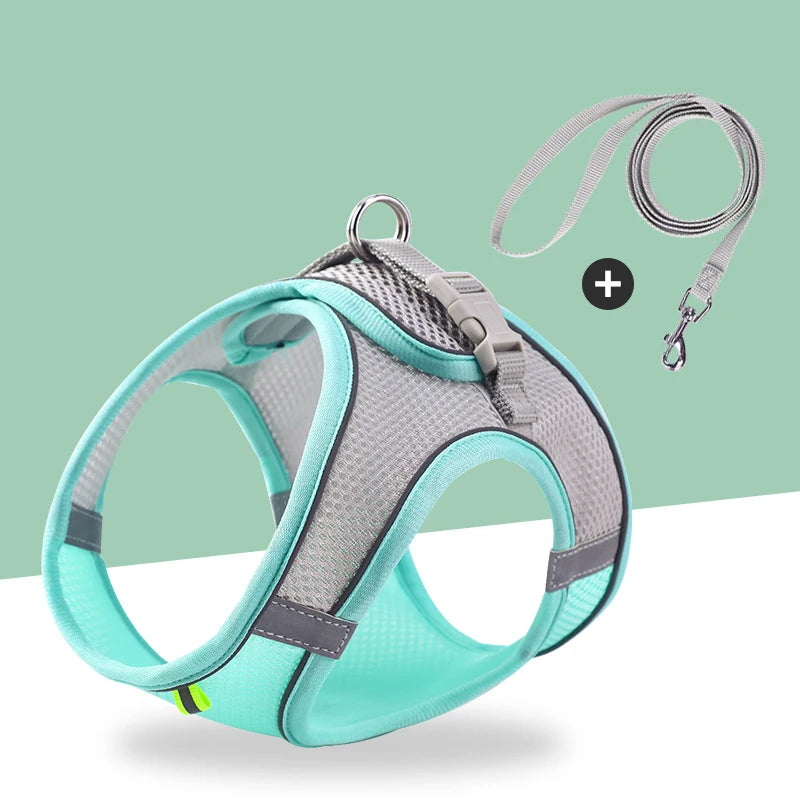 Cat and Dog Leash Anti-shedding Vest Breathable Reflective Pet Chest Harness Small Dog and Cat Leash Pet Outdoor Supplies