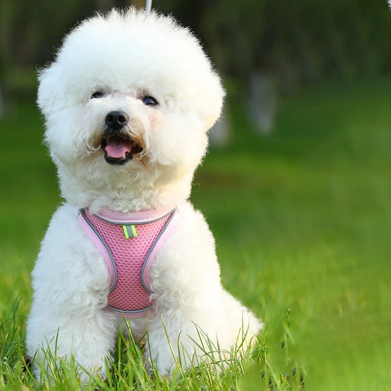 Cat and Dog Leash Anti-shedding Vest Breathable Reflective Pet Chest Harness Small Dog and Cat Leash Pet Outdoor Supplies