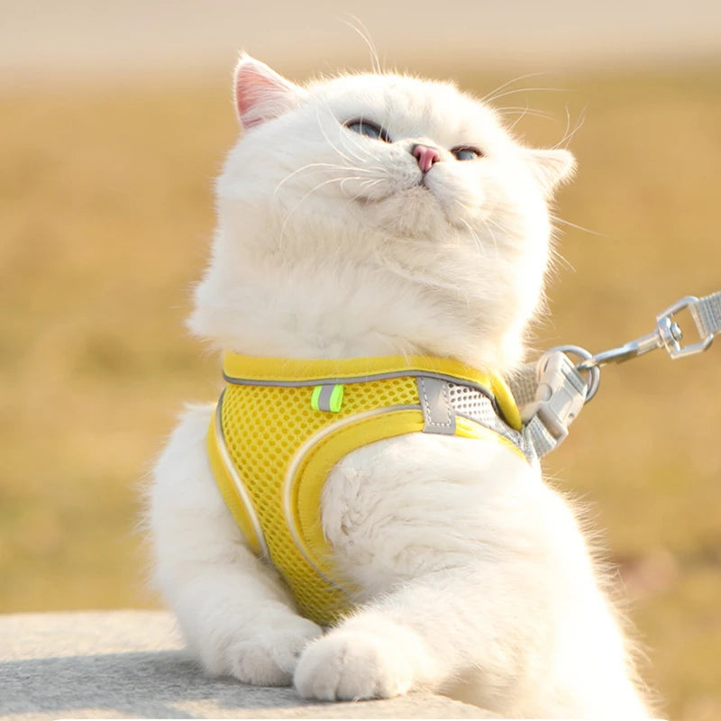Cat and Dog Leash Anti-shedding Vest Breathable Reflective Pet Chest Harness Small Dog and Cat Leash Pet Outdoor Supplies