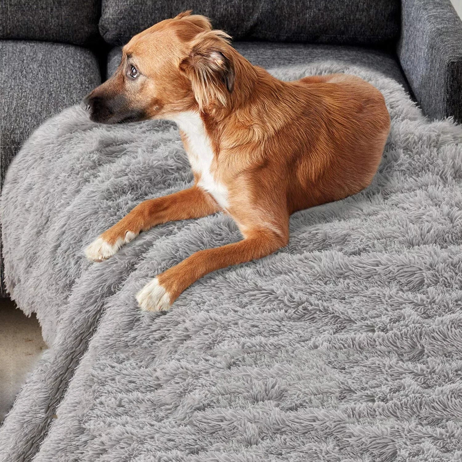 Plush Dog Blanket Winter Warm Pet Sheet Cat Dog Sofa Cushion Pet Mattress Household Carpet Comfortable Dog Sleeping Blanket