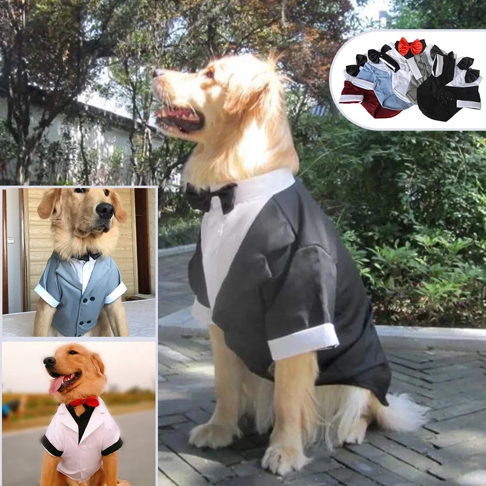 Dog Wedding Suit Big Dog Clothes Tuxedo Large Dog Formal Dress Welsh Corgi Samoyed Husky Golden Retriever Dobermann Clothing