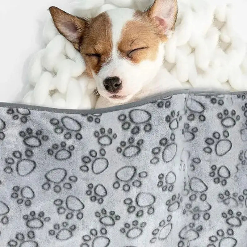 Pet Blanket Ultra-soft Fluffy Paw Printed Mat Pet Bed Dog Blanket Warm And Comfortable Blanket Suitable For Cats Dog Accessories