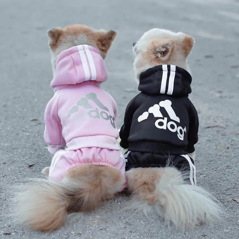 Dog Clothes for Small Medium Dogs Fashion Letters Sweatshirt for Chihuahua Pug Hot Sell Four-Legged Jacket for French Bulldog