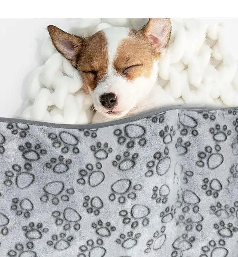 2PCS Soft Fluffy High Quality Pet Blanket Cute Cartoon Pattern Paw Print Dog  Pet Mat Warm and Comfortable Blanket for Cat Dogs