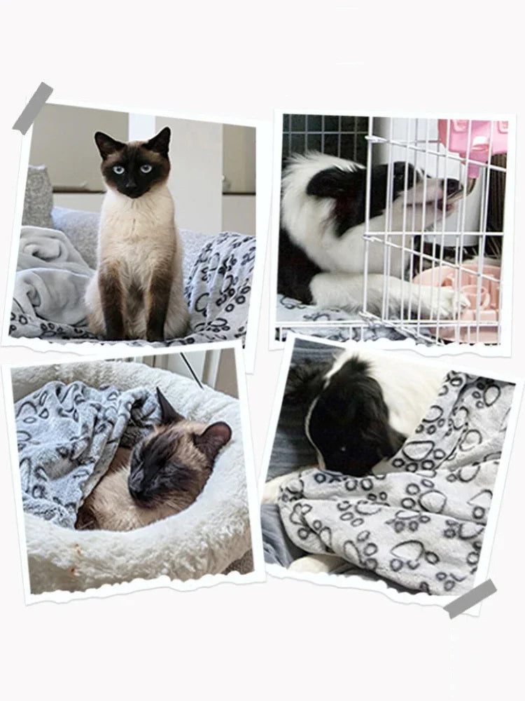 Ultra Soft Fluffy High Quality Pet Blanket Cute Cartoon Pattern Pet Mat Warm and Comfortable Blanket for Cat Dogs Cat Bath Towel