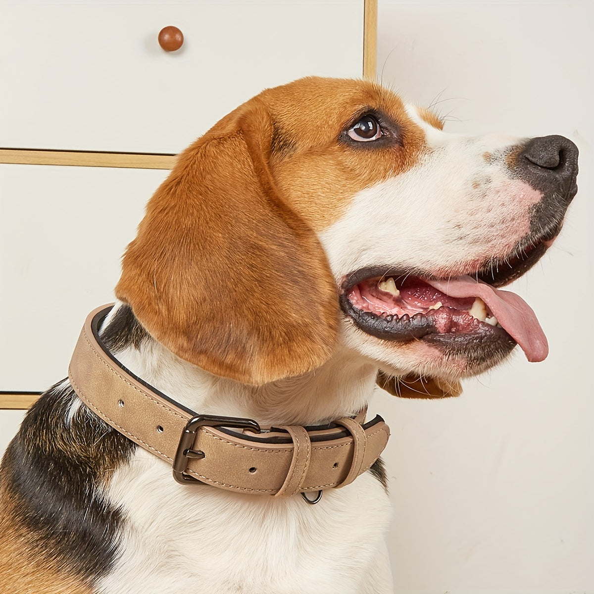 Reflective Film Waterproof Leather Collar Matching Mid-section Reflective Webbing Leather Handle 5 Colors 4 Sizes Film Laser Engraving Nameplate Personalized Dog Collar