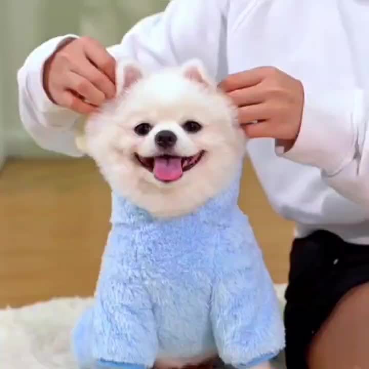 Pet Dog Cat Clothes Supplies Autumn and Winter Plus Velvet Four-Leg Clothes Cuihua Bear Transformation Teddy Bear