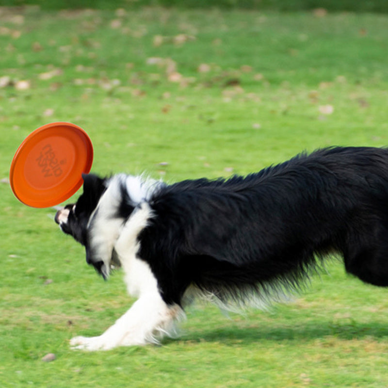 Dog Toys That Are Durable, Non-Toxic, And Suitable for Training And Water Play, Without Battery